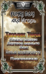 скачать книгу Техник Тени автора Funky Boy Aka Игорь