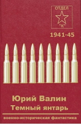 скачать книгу Темный янтарь (СИ) автора Юрий Валин