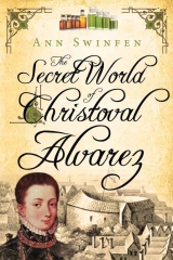 скачать книгу The Secret World of Christoval Alvarez автора Ann Swinfen
