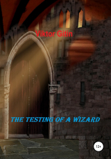 скачать книгу The Testing of a Wizard автора Viktor Gitin