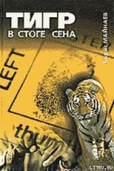 скачать книгу Тигр в стоге сена автора Борис Майнаев