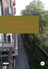 скачать книгу Тихая жизнь на улице Пирогова автора Евгений Баковкин