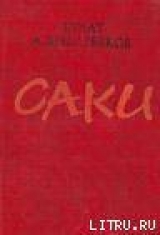 скачать книгу Томирис автора Булат Жандарбеков