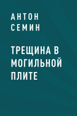 скачать книгу Трещина в могильной плите автора Антон Семин