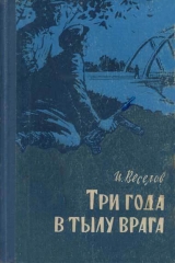 скачать книгу Три года в тылу врага автора Илья Веселов