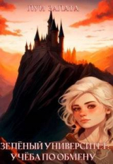 скачать книгу Учеба по обмену (СИ) автора Луи Залата