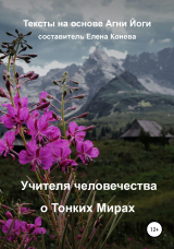 скачать книгу Учителя человечества о тонких мирах автора Елена Конева