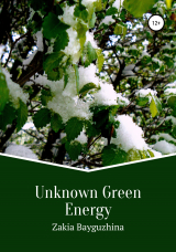 скачать книгу Unknown Green Energy автора Zakia Bayguzhina