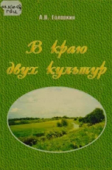 скачать книгу В краю двух культур автора Анатолий Головкин
