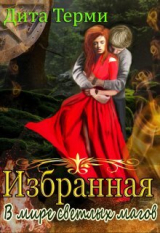 скачать книгу В мире светлых магов (СИ) автора Дита Терми