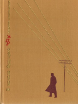 скачать книгу В начале будущего. Повесть о Глебе Кржижановском автора Владимир Красильщиков