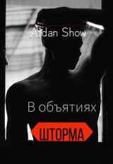 скачать книгу В объятиях шторма (СИ) автора Aidan Show