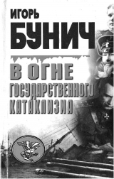 скачать книгу В огне государственного катаклизма автора Игорь Бунич