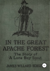 скачать книгу В Великом лесу апачей автора Джеймс Уиллард Шульц