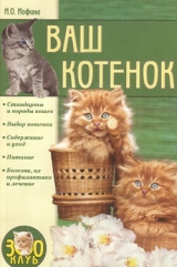 скачать книгу Ваш котенок автора Ирина Иофина