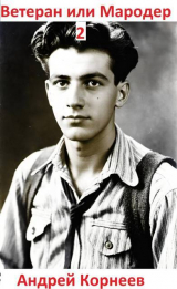 скачать книгу Ветеран или Мародер 2 (СИ) автора Андрей Корнеев