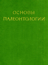 скачать книгу Водоросли, мохообразные, псилофитовые, плауновидные, членистостебельные, папоротники автора Юрий Орлов