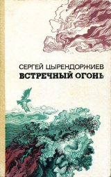 скачать книгу Встречный огонь автора Сергей Цырендоржиев