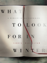 скачать книгу What to Look for in Winter автора Candia McWilliam