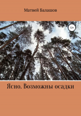 скачать книгу Ясно. Возможны осадки автора Матвей Балашов