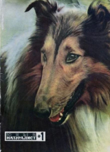 скачать книгу Юный натуралист 1970 №01 автора авторов Коллектив
