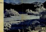 скачать книгу Юный натуралист 1970 №12 автора авторов Коллектив