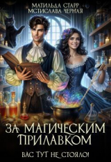 скачать книгу За магическим прилавком. Дилогия (СИ) автора Матильда Старр