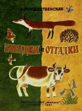 скачать книгу Загадки и отгадки автора Анна Рождественская