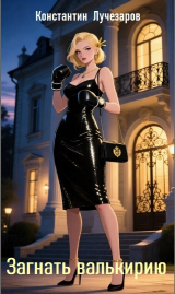 скачать книгу Загнать валькирию (СИ) автора Константин Лучезаров
