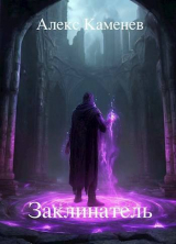 скачать книгу Заклинатель (СИ) автора Алекс Каменев