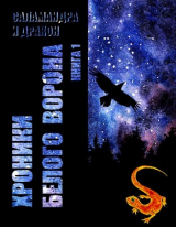 скачать книгу Записки кельды (СИ) автора Саламандра и Дракон