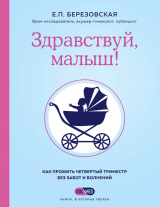 скачать книгу Здравствуй, малыш! Как прожить четвертый триместр без забот и волнений автора Елена Березовская