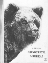 скачать книгу Здравствуй, мишка! автора Анатолий Онегов