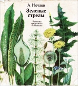 скачать книгу Зеленые стрелы. Рассказы амурского ботаника автора А. Нечаев