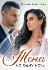 скачать книгу Жена на одну ночь (СИ) автора Анастасия Князева