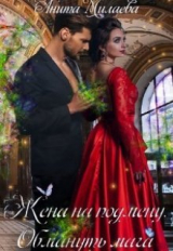 скачать книгу Жена на подмену. Обмануть мага (СИ) автора Анита Милаева