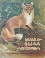 скачать книгу Жила-была лисица автора Игорь Акимушкин