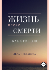 скачать книгу Жизнь после смерти: как это было автора Лера Некрасова