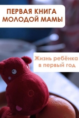 скачать книгу Жизнь ребёнка в первый год автора Илья Мельников