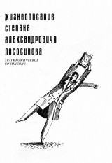 скачать книгу Жизнеописание Степана Александровича Лососинова (СИ) автора Сергей Заяицкий