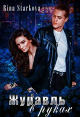 скачать книгу Журавль в руках (СИ) автора Рина Старкова