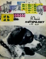 скачать книгу Журнал «Юный натуралист», 1967 №12 автора авторов Коллектив