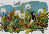 скачать книгу Журнал «Юный натуралист», 1968 №06 автора авторов Коллектив