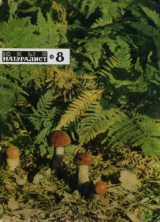 скачать книгу Журнал «Юный натуралист», 1968 №08 автора авторов Коллектив