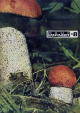 скачать книгу Журнал «Юный натуралист», 1970 №08 автора авторов Коллектив