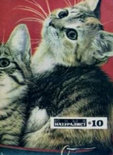 скачать книгу Журнал «Юный натуралист», 1970 №10 автора авторов Коллектив