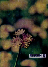 скачать книгу Журнал «Юный натуралист», 1974 №06 автора авторов Коллектив