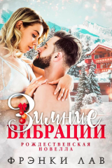 скачать книгу Зимние вибрации (ЛП) автора Фрэнки Лав