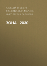скачать книгу ЗОНА – 2030 автора Алексей Вишневецкий