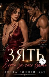 скачать книгу Зять. Есть за что взять (СИ) автора Алина Вишневская